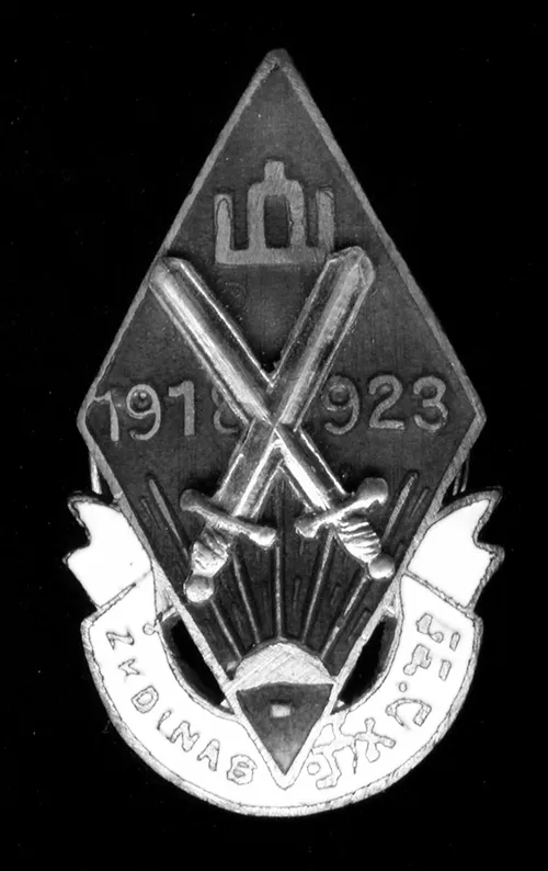 savanoriai lithuania zydu savan grey