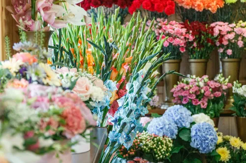 „B. J. Gėlės“ / Organizatorių nuotr.