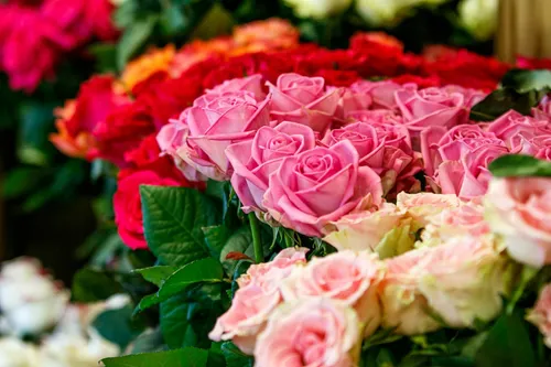 „B. J. Gėlės“ / Organizatorių nuotr.