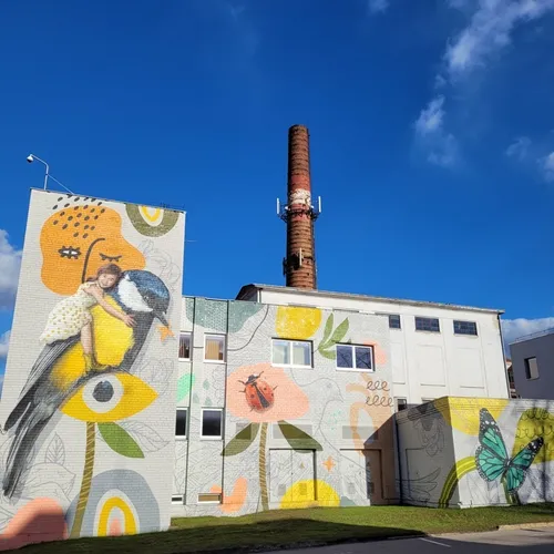 piesinys-kauno-klinikose