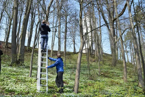 Pažaislio vienuolyno parke pakabinti inkliai / Kauno marių regioninio parko nuotr.