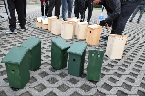 Pažaislio vienuolyno parke pakabinti inkliai / Kauno marių regioninio parko nuotr.
