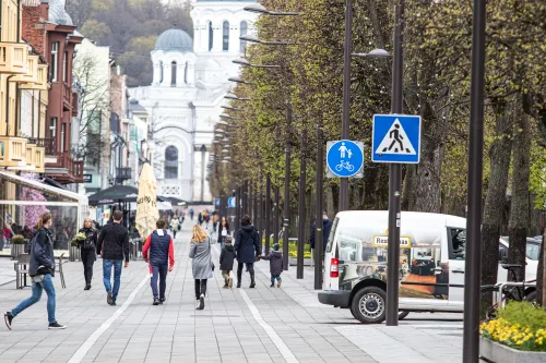 Dviračių takas Laisvės alėjoje