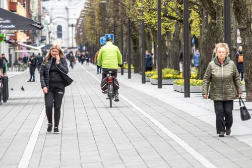 Dviračių takas Laisvės alėjoje