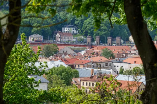 Ant Pelėdų kalno iškelta Kauno vėliava