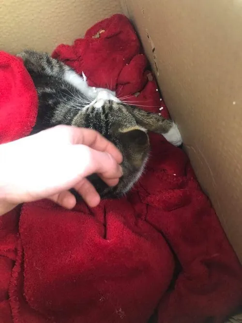 received 1070913073432370