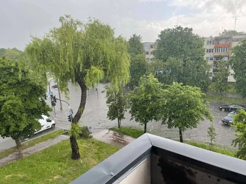 197532651 4441327445899416 8935534819051816182 n