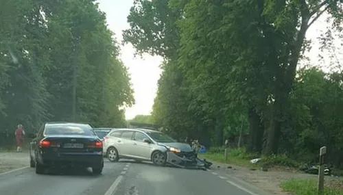 203291658 529868801472408 1501994126922463957 n