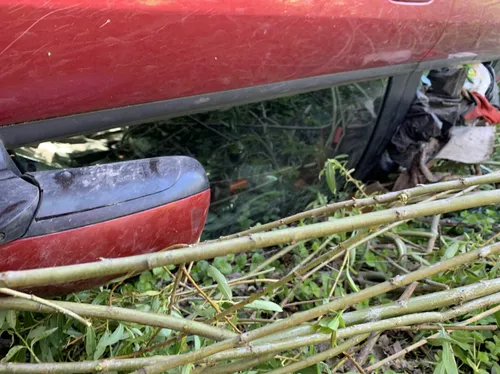 3a728e94 3e74 4b37 b259 aef9911075d0