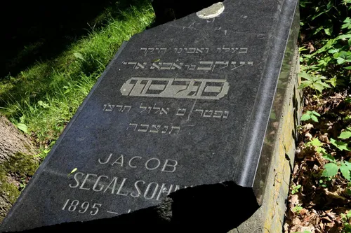 Žaliakalnio žydų kapinės