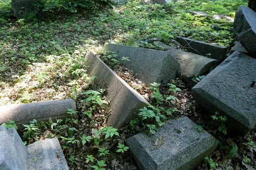 Žaliakalnio žydų kapinės