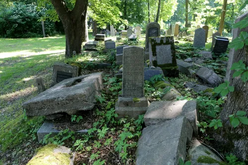 Žaliakalnio žydų kapinės