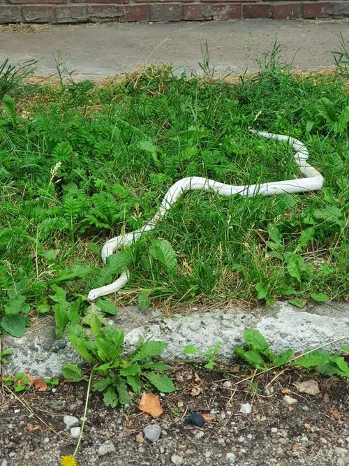 210142186 1181145949028656 2618102051523119529 n