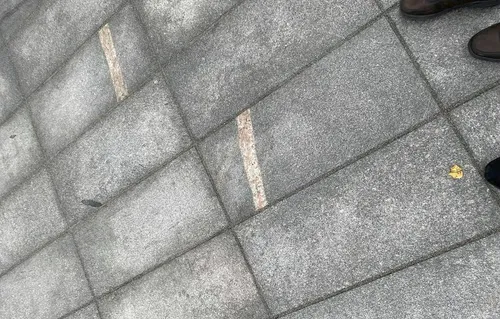 s daukanto gatves plyteles