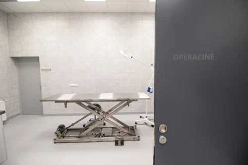 Zoologijos sodo rekonstrukcija