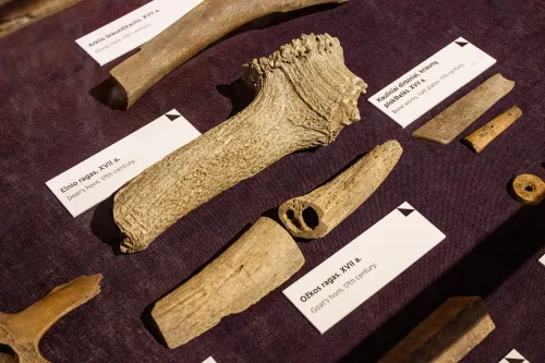 Paroda MĖSININKAS NR. 1 KAUNE.