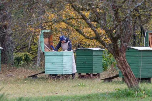 Šv. Juozapo ir Šv. Kūdikėlio Jėzaus Teresės vienuolynas