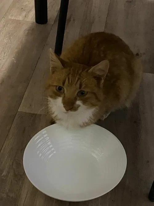 269459525 302837158413453 5286159715471413141 n