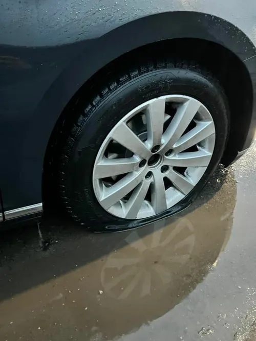 271237528 1565040430517404 2069421501338909643 n