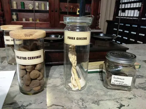 273602743_335568451815009_3294574045945573964_n