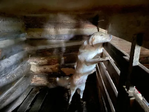 273681062 312404594255232 3994784924991339980 n