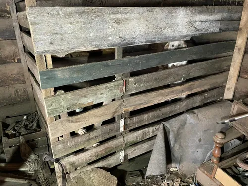 273884044 312404650921893 6402491682851431335 n