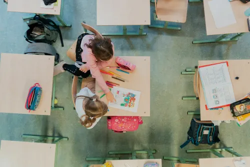 Privati mokykla „Pažinimo medis“ / Organizatorių nuotr.