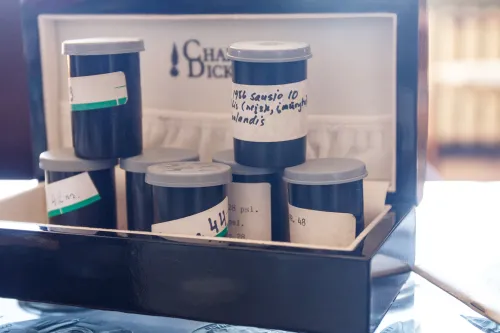 Sigitas Tamkevičius