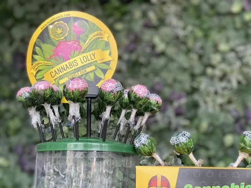 „LamaKush“ produktai