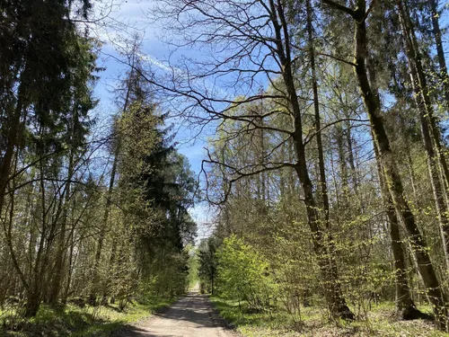 „Miško takas“ žygeiviams