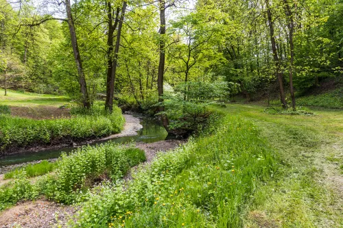 Adomo Mickevičiaus slėnis