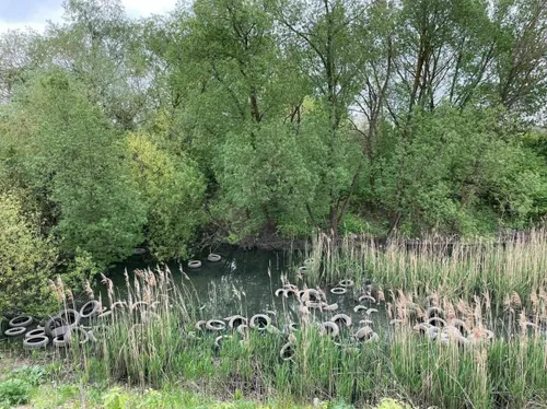 „River Cleanup“ upių valymo akcija Kaune