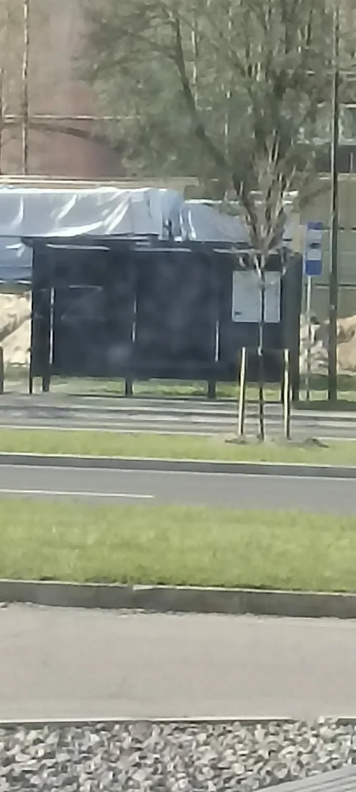 img 20220509 085550 scaled