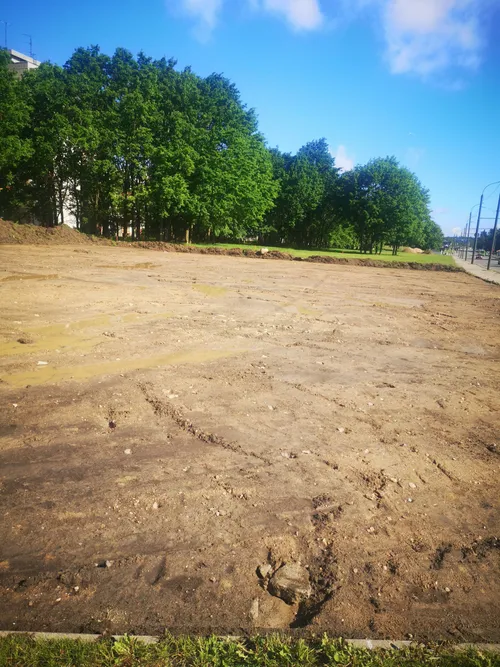 inbound6631303257731423509 scaled