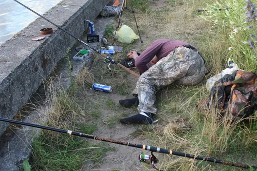 Nidos festivalis „Ant bangos“ / DELFI nuotr.