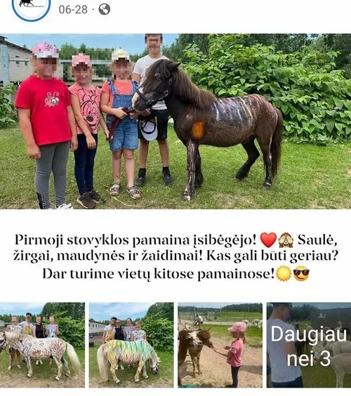 stovyklos irasas 90717299