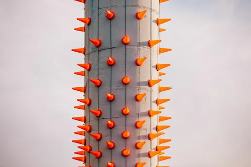 Susibėgimas / G. Jovaišos nuotr.