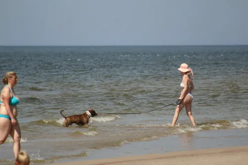 Karšta savaitė prie Baltijos jūros / DELFI nuotr.