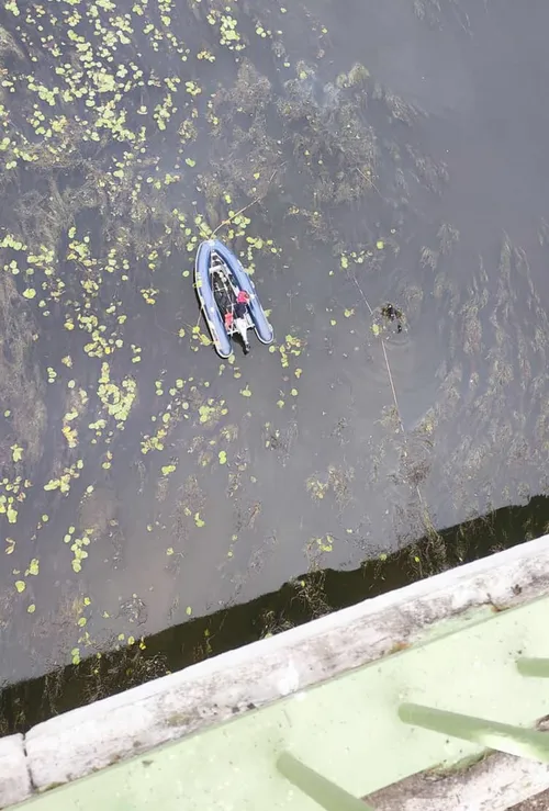 306167683 428301999282942 463568304886880948 n