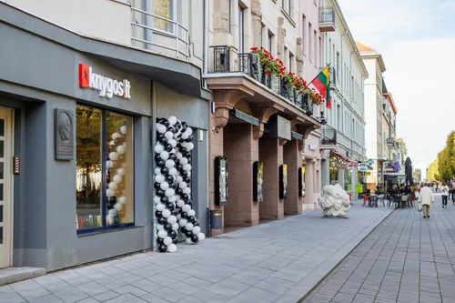 „Knygos.lt“ knygynas / Organizatorių nuotr.