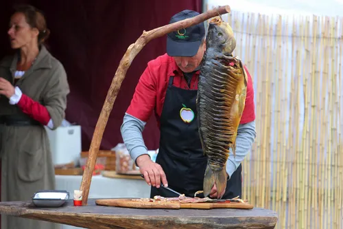 Festivalis „Skanaus: Europos virtuvės 2022“ / Organizatorių nuotr.