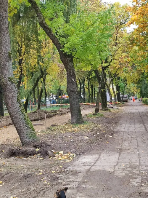 310809495 839023137266749 9118283414942290926 n