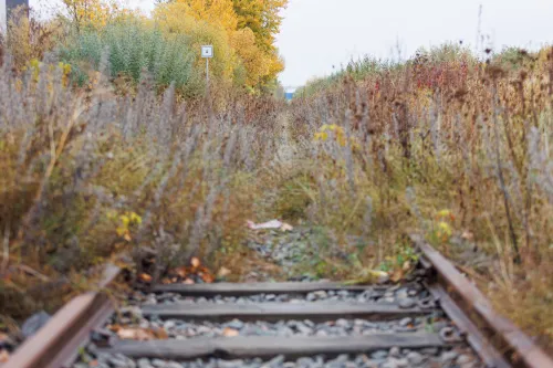 Geležinkelis Draugystės gatvėje