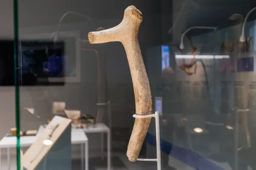 LYNGBY 13000 metų senumo kirvis