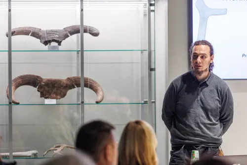 LYNGBY 13000 metų senumo kirvis