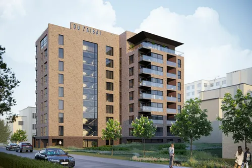 „Du Žaibai“ / Organizatorių nuotr.