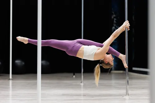 Vipera Pole akademija