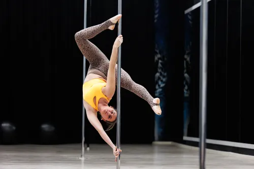 Vipera Pole akademija