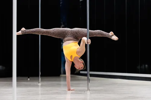 Vipera Pole akademija