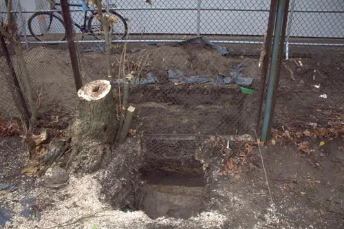 juozo vitkaus kazimieraicio palaiku uzkasimo vieta